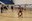 Estada del Barça CBS i activitat amb els i les infants de l'Àrea de Jovent i les joves de la Federació Andorrana de Basquetbol