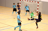Les estades esportives es consoliden