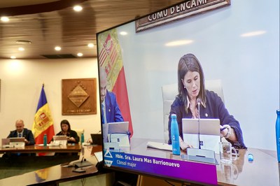 Consell de comú d'Encamp.