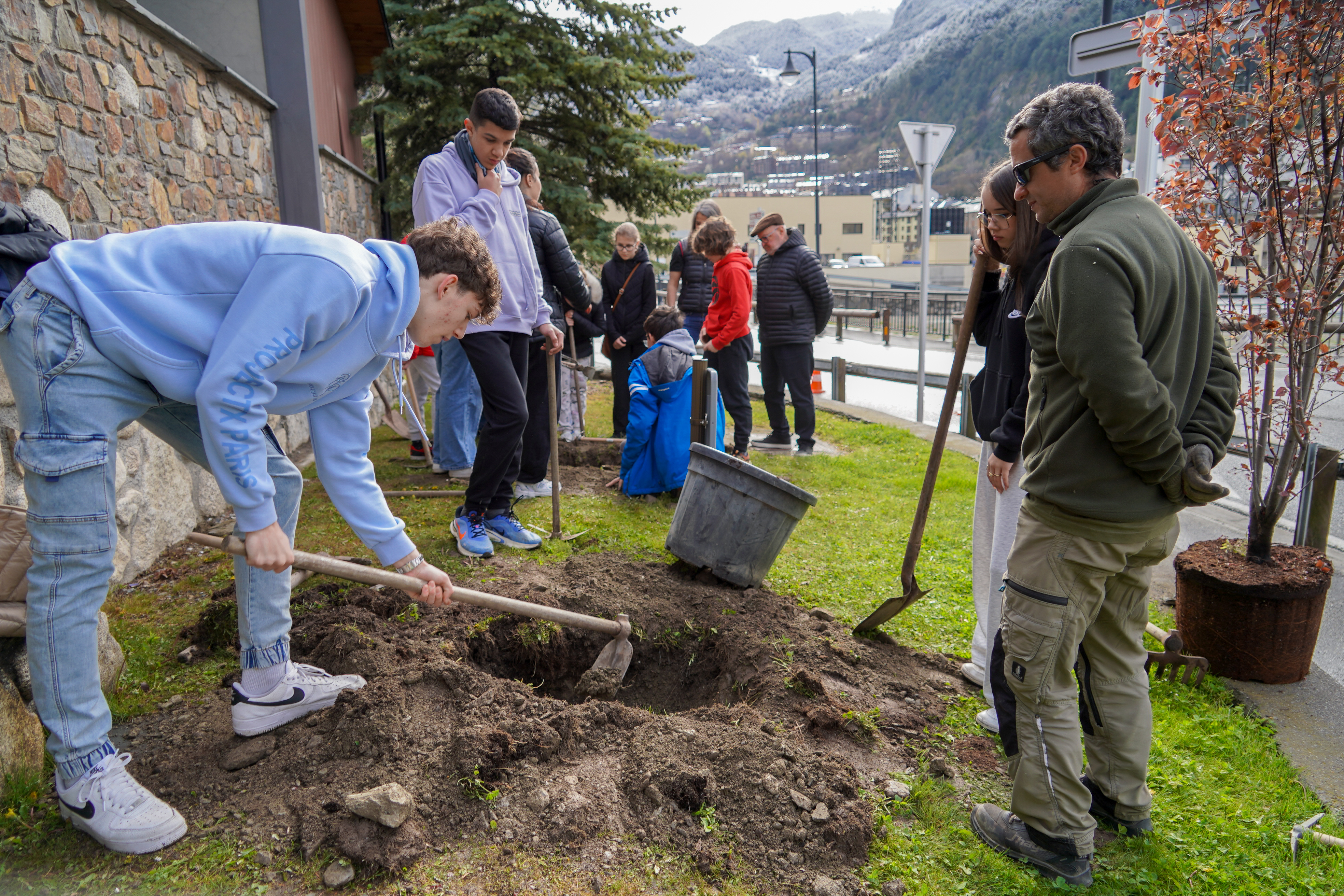 Plantació arbres escola verda @ComuEncamp