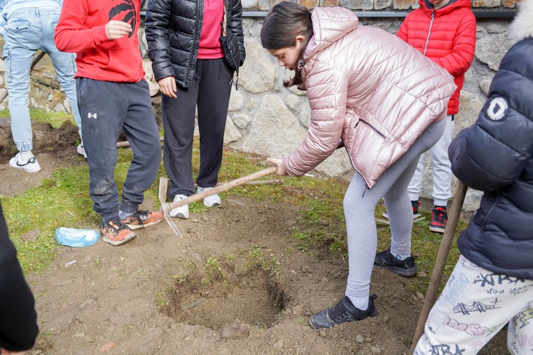 Plantació arbres escola verda @ComuEncamp