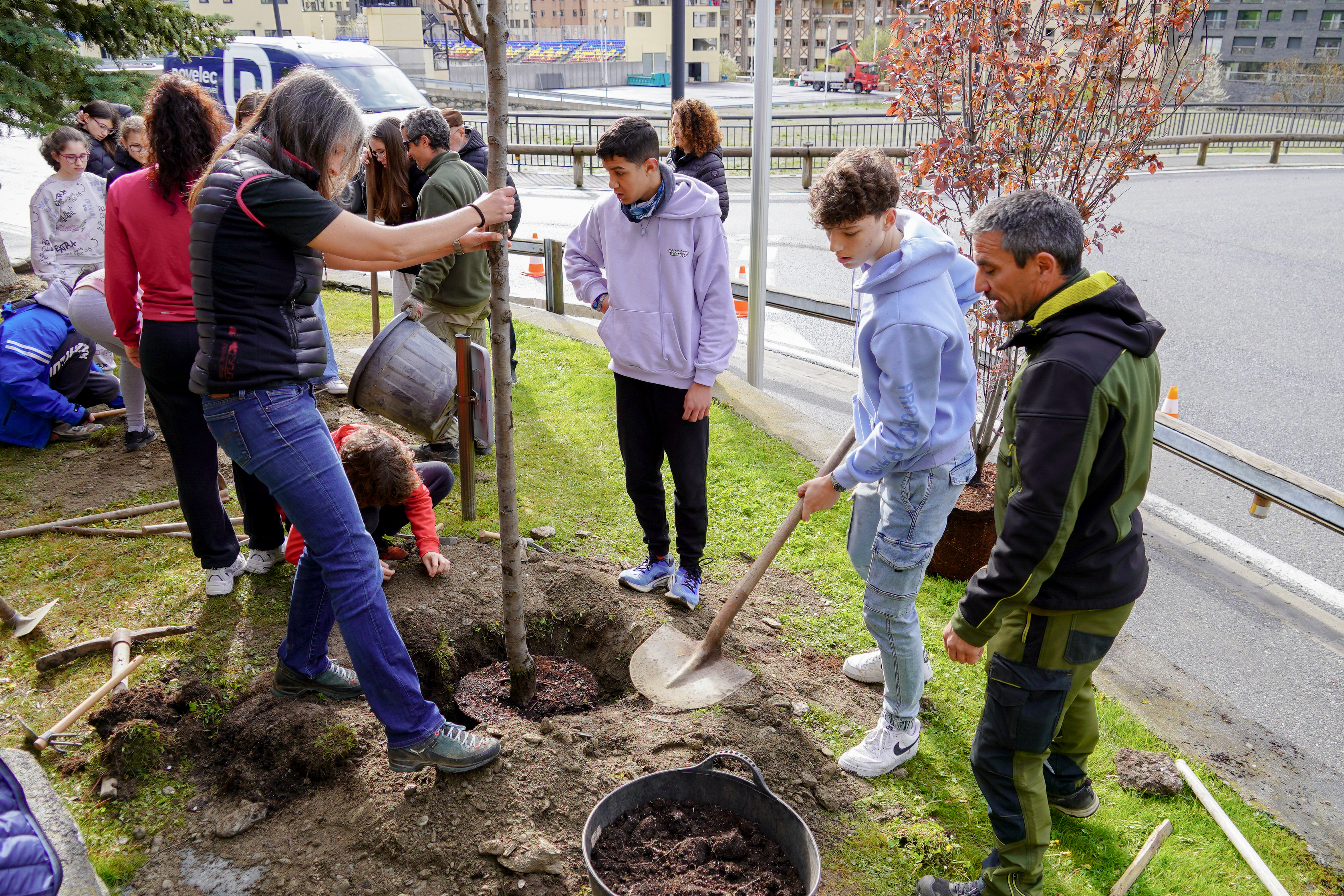 Plantació arbres escola verda @ComuEncamp