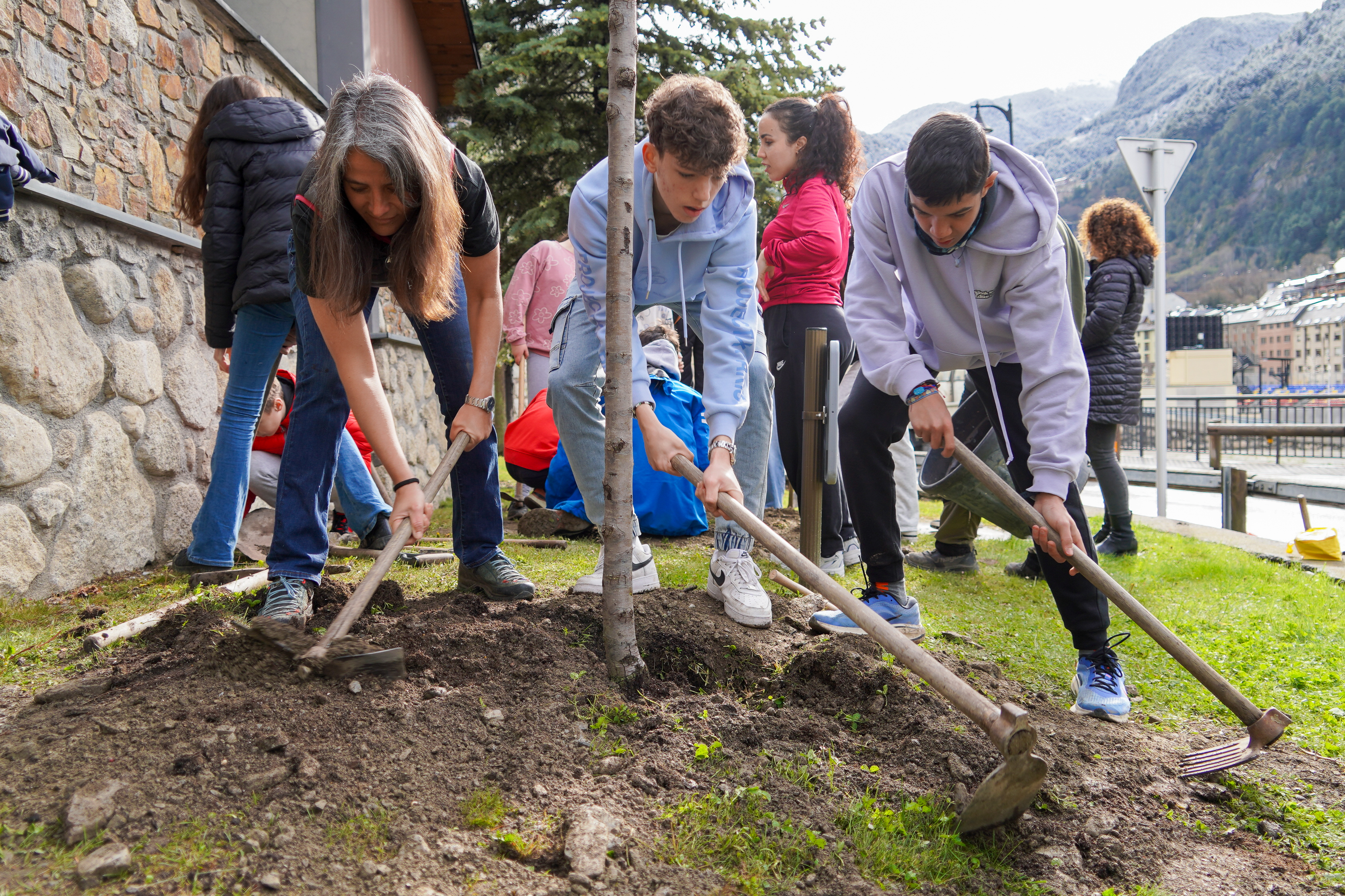 Plantació arbres escola verda @ComuEncamp