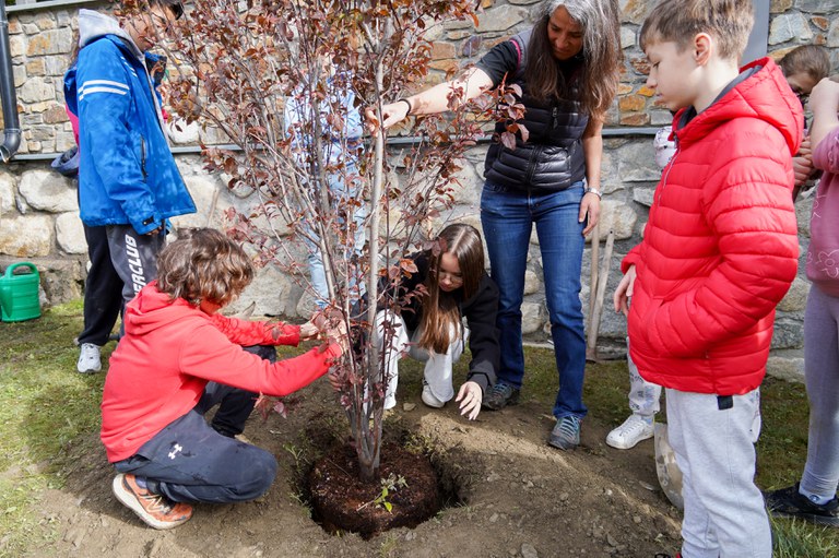 Plantació arbres escola verda @ComuEncamp