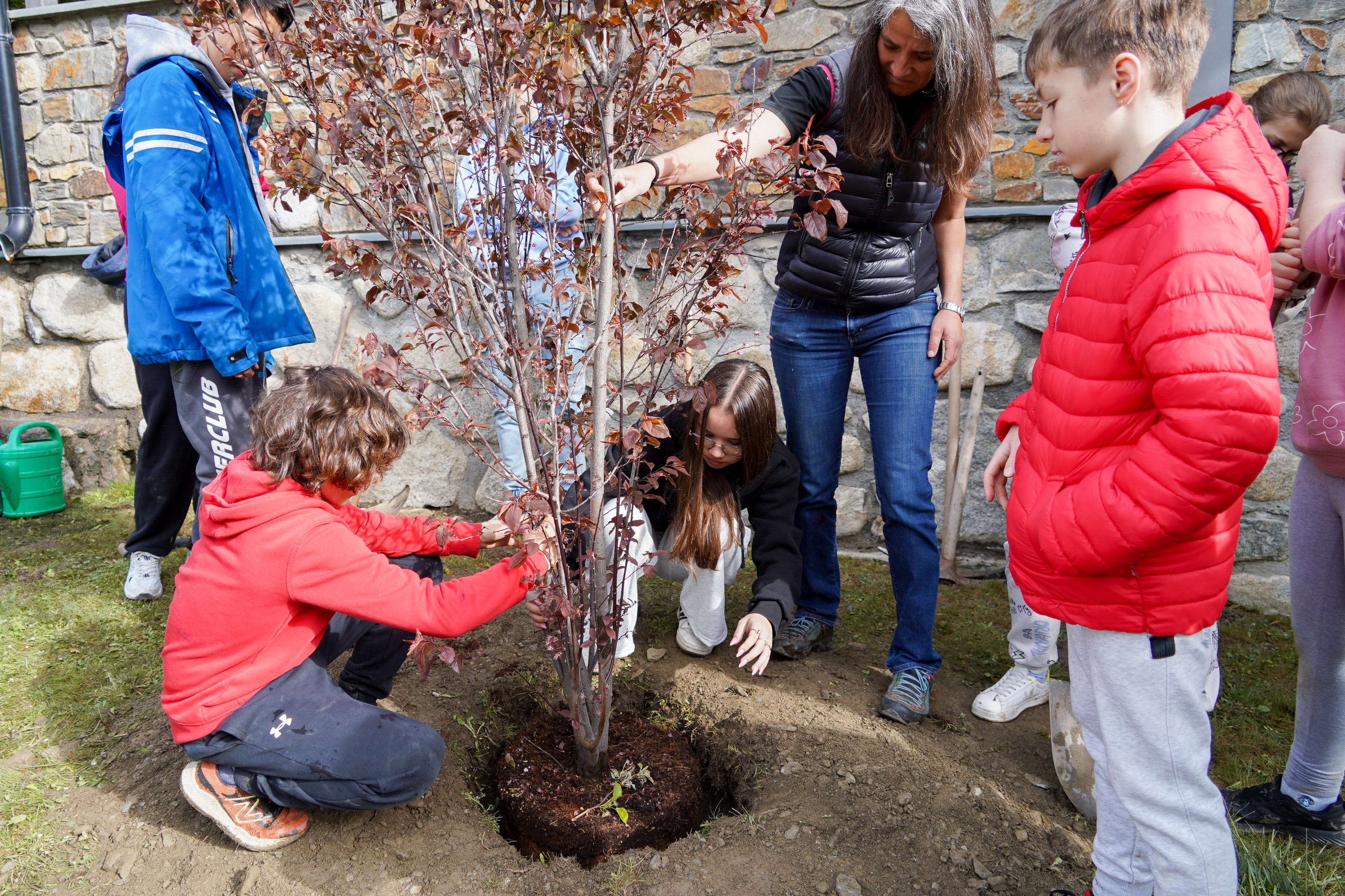 Plantació arbres escola verda @ComuEncamp