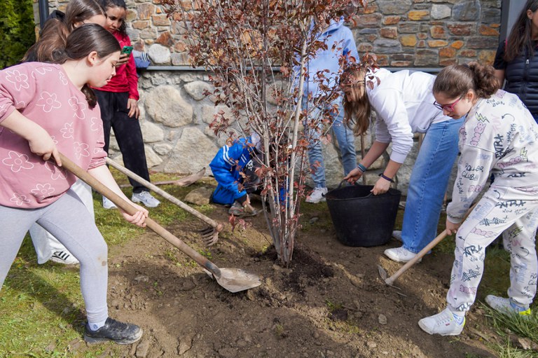 Plantació arbres escola verda @ComuEncamp