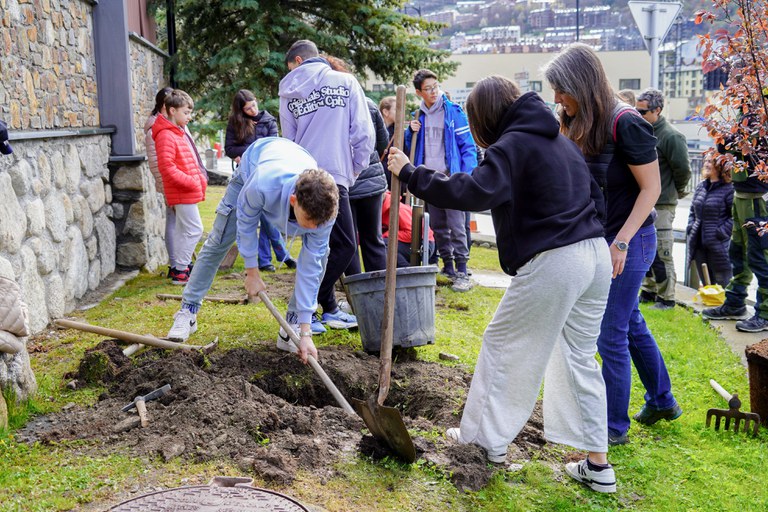 Plantació arbres escola verda @ComuEncamp