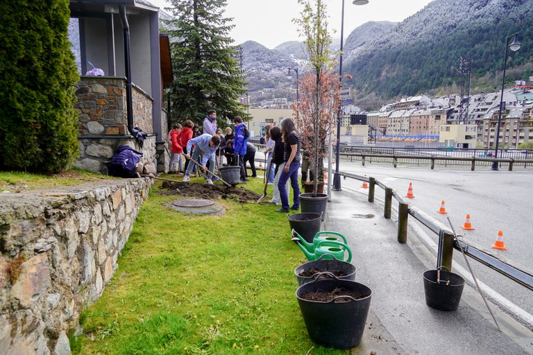 Plantació arbres escola verda @ComuEncamp