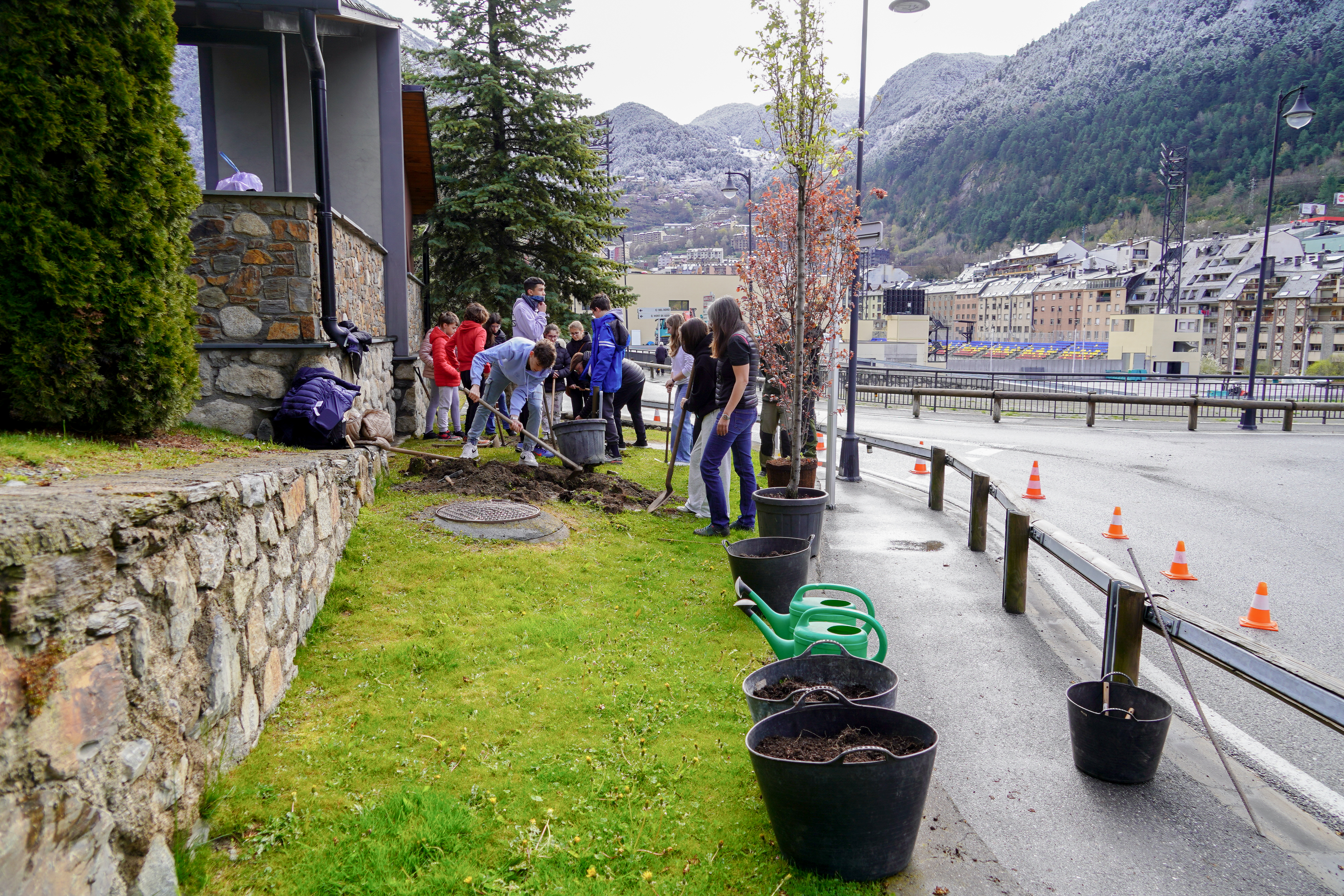 Plantació arbres escola verda @ComuEncamp