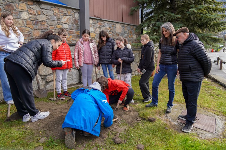 Plantació arbres escola verda @ComuEncamp