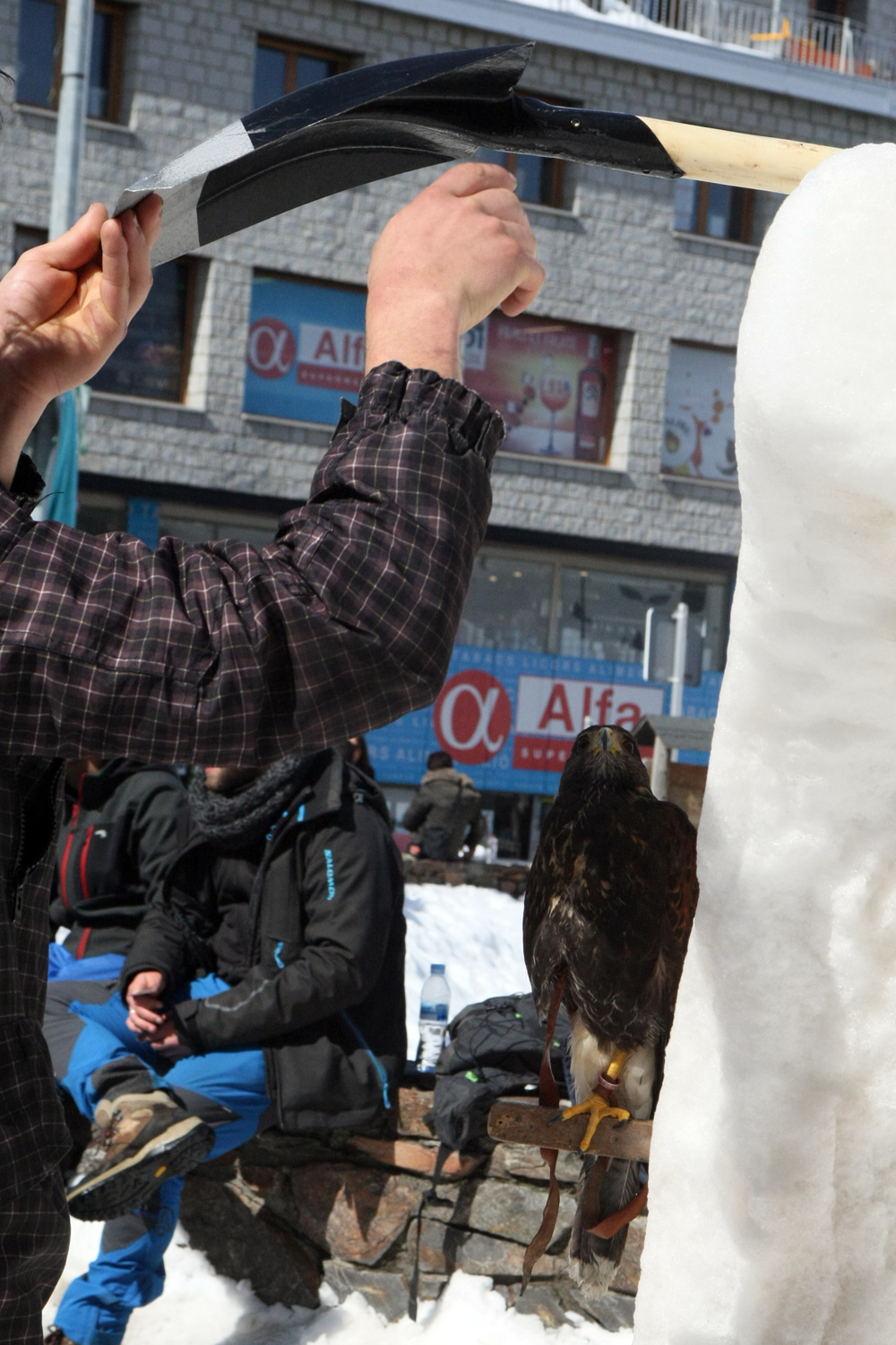 Escultures neu 2015-046.JPG