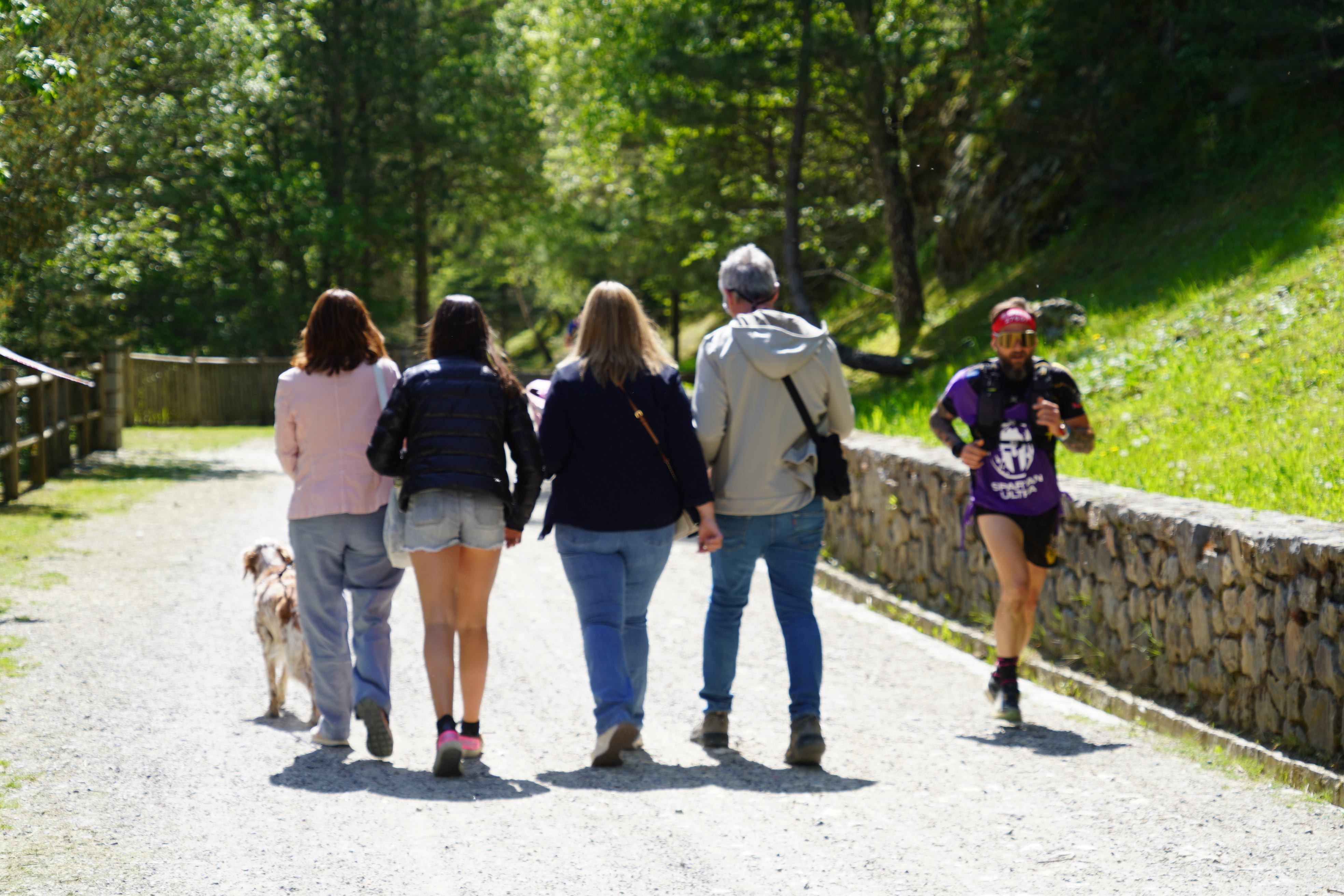2025607 Ecologia @ComuEncamp-1.jpg