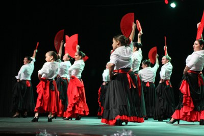 FESTIVAL DE LA NEU.