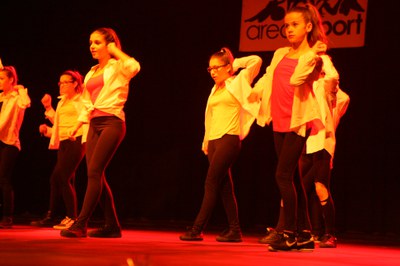 FESTIVAL DE LA NEU.