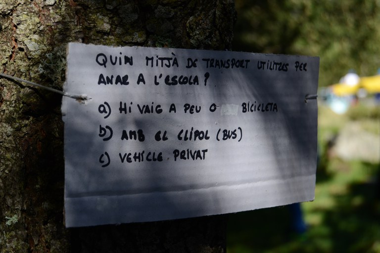 DSC_0139.JPG