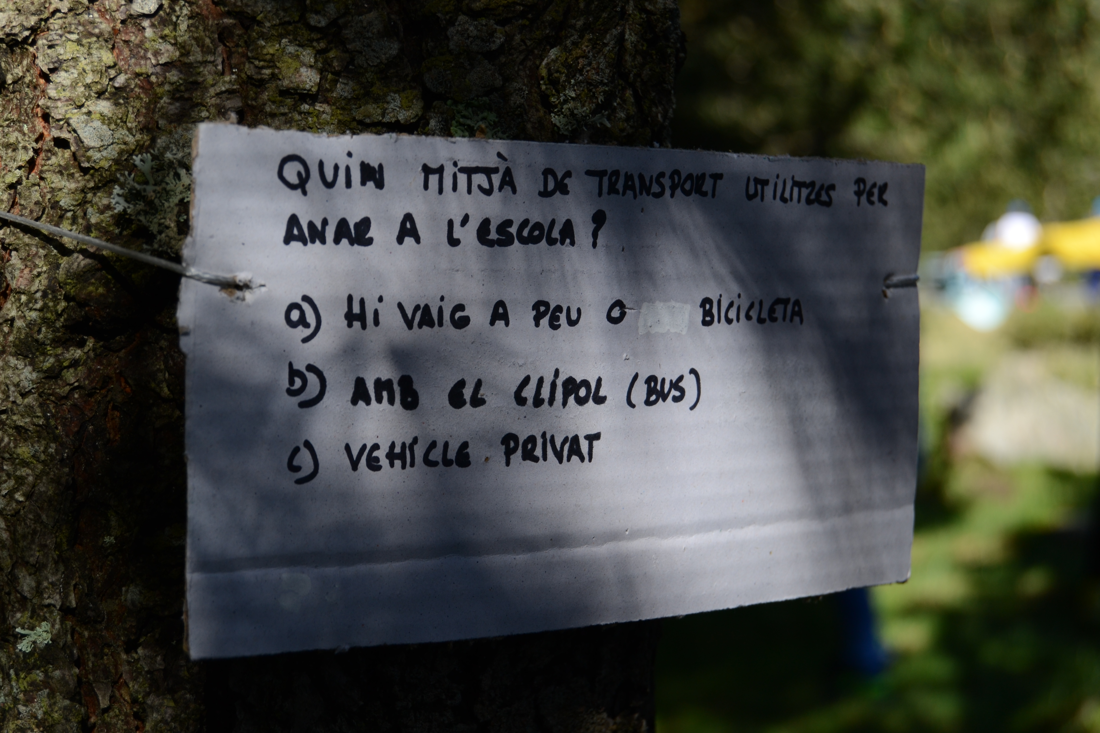 DSC_0139.JPG