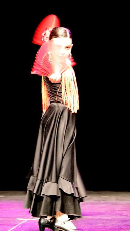 Festival Areaesport 2017-018.JPG