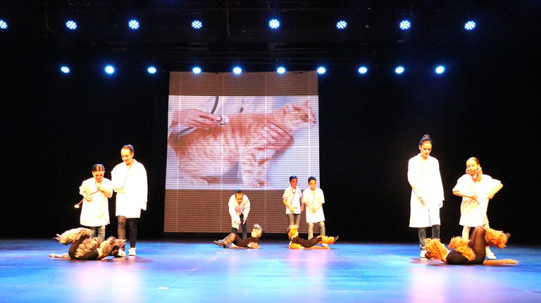 Festival Areaesport 2017-095.JPG