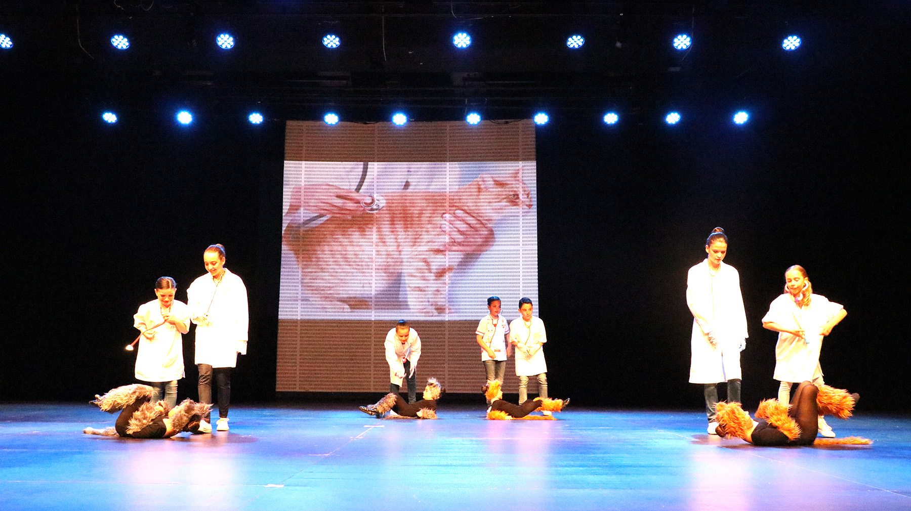 Festival Areaesport 2017-095.JPG