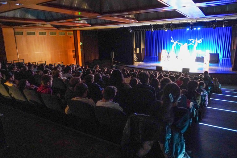 Obra 'Jo, Tarzan' del 23è Festival de Titelles d'Andorra, Ànima.
