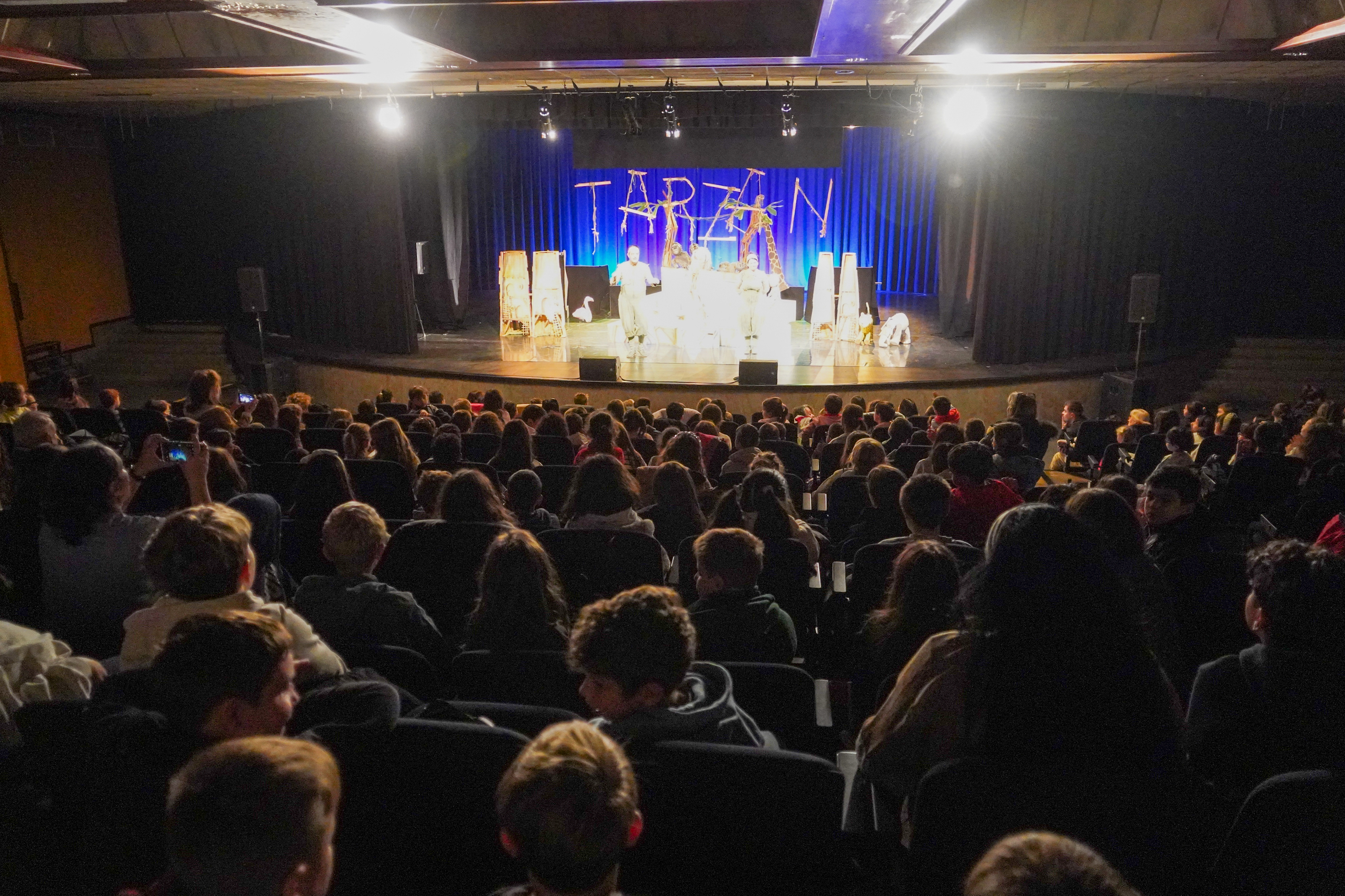 Obra 'Jo, Tarzan' del 23è Festival de Titelles d'Andorra, Ànima.