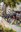 Rua de Carnaval de les escoles del Pas de la Casa @RubenCalvoperComuEncamp