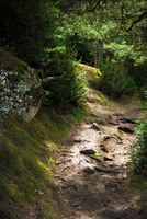 Millores al Camí d'Engolasters per l'arribada de La Vuelta