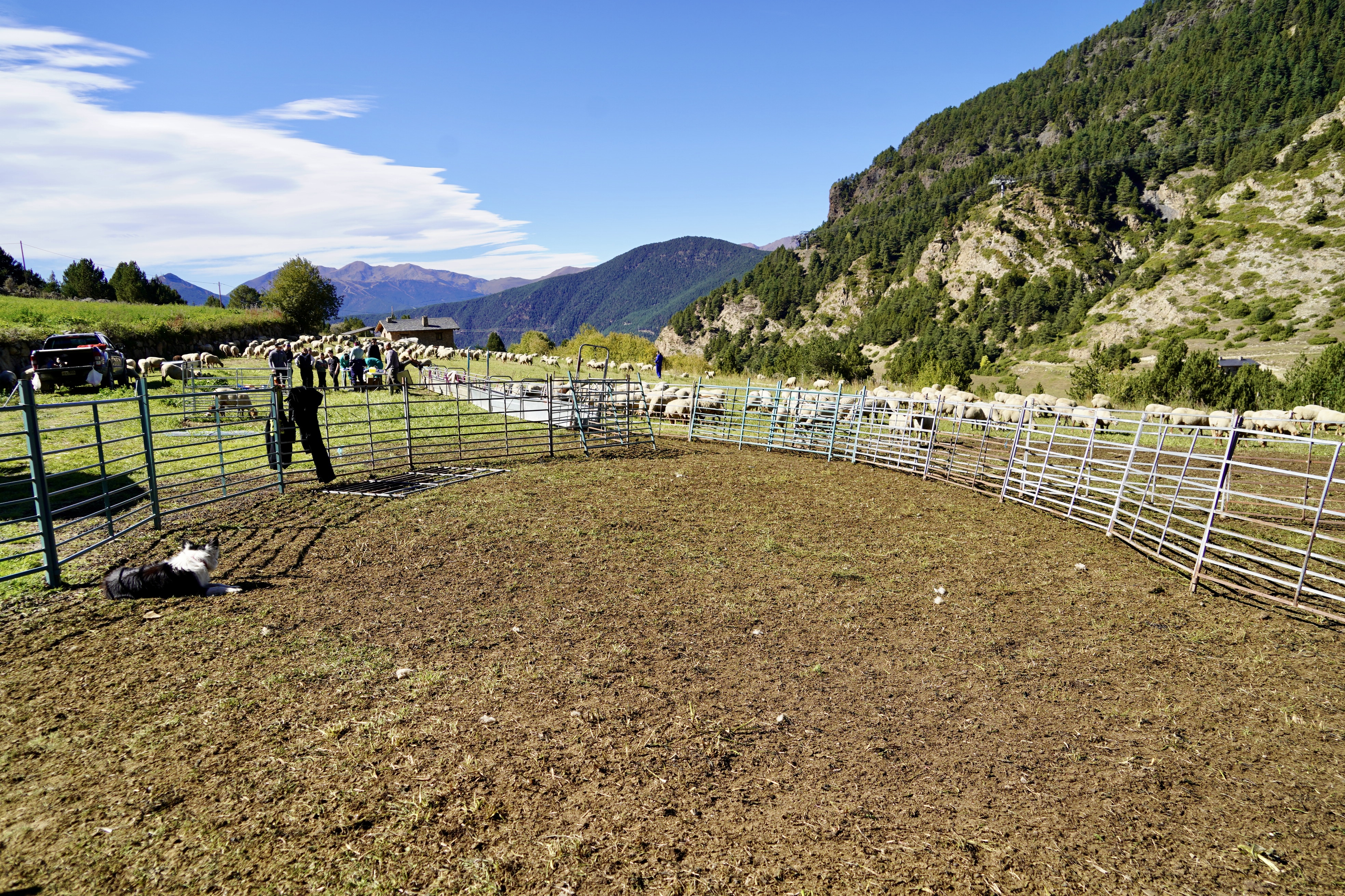 20261009 ovellada Cortals @ComuEncamp (76).jpg