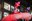 IMG_8272.jpeg