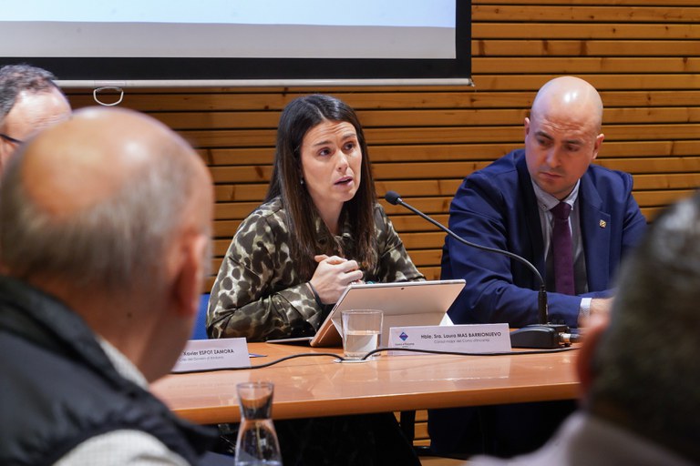 20260205 Reunió extraordinària Consell Econòmic i Social del Pas de la Casa