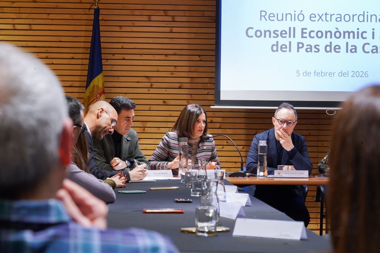 20260205 Reunió extraordinària Consell Econòmic i Social del Pas de la Casa