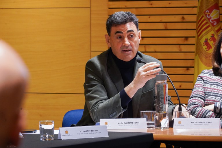 20260205 Reunió extraordinària Consell Econòmic i Social del Pas de la Casa