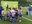 MICFutbol7