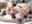 Taller PIJ Relaxa't-013.JPG