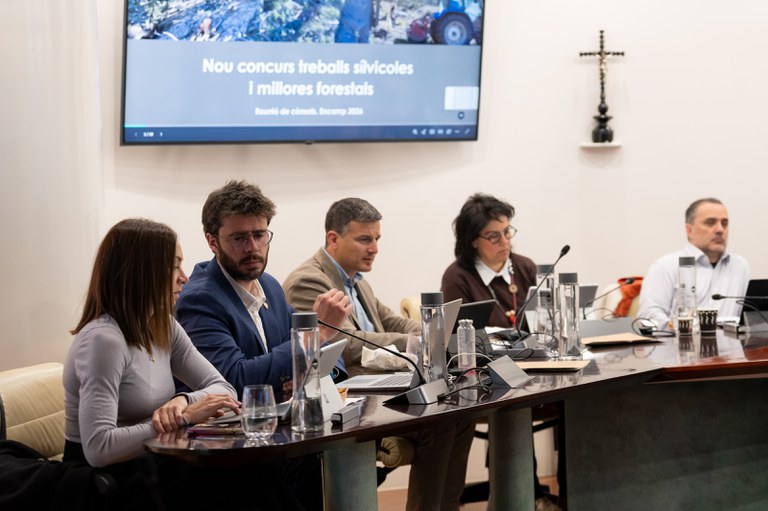 20260414_REUNIÓ DE CÒNSOLS - 18.jpg