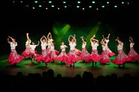 Ritme, colors i molt art al Festival de Dansa Espanyola d’Encamp!