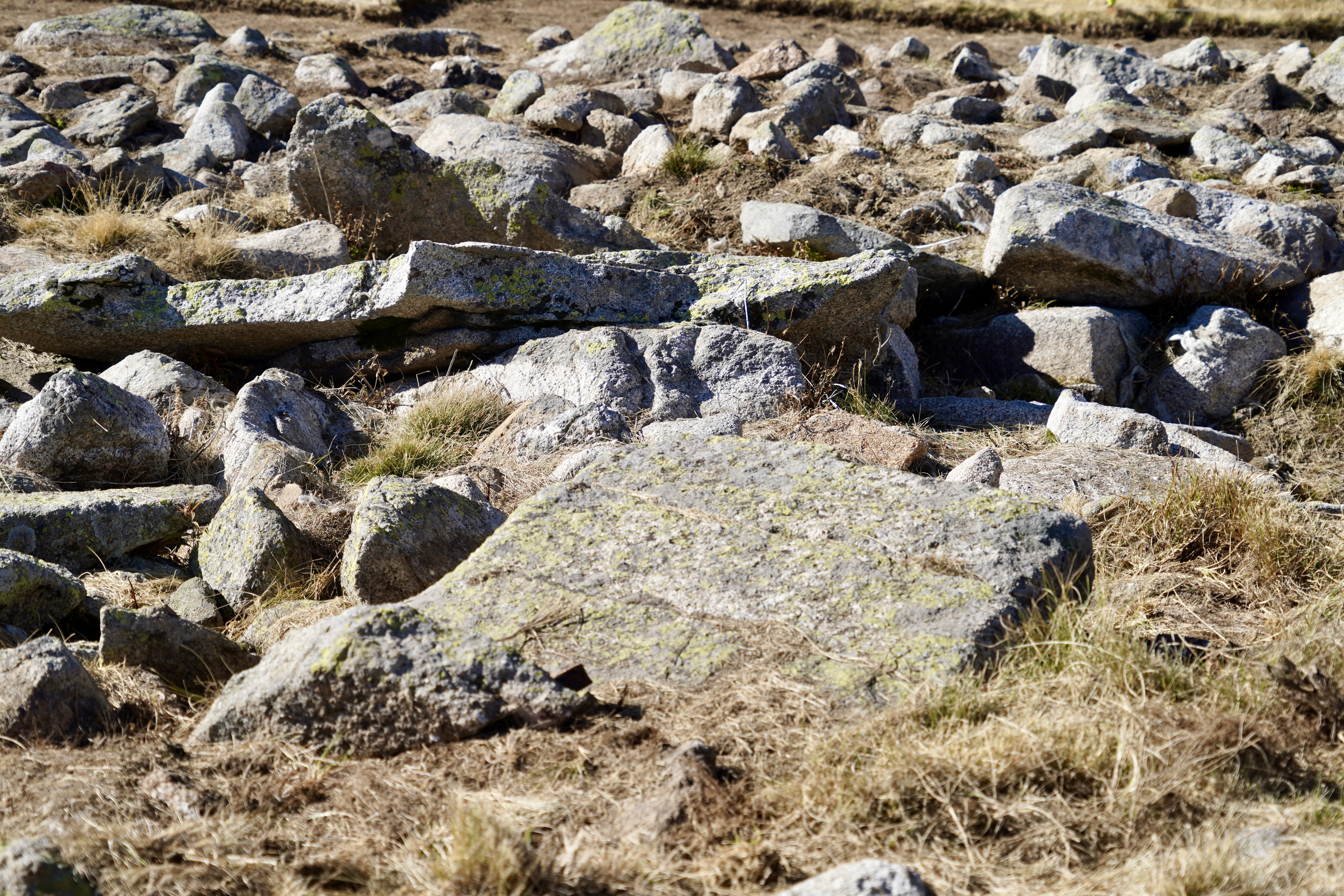 Visita al dolmen del Cubil i a part de la ruta dels orris @ComuEncamp
