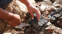 Segueixen els treballs de desenvolupament de la Ruta dels orris