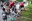20250606 Spartan Kids @ComuEncamp
