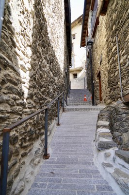 20260422 Remodelacio de les Bons (37).jpg.