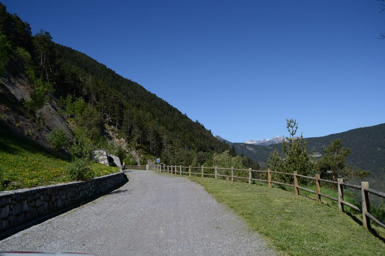 DSC_0497.JPG