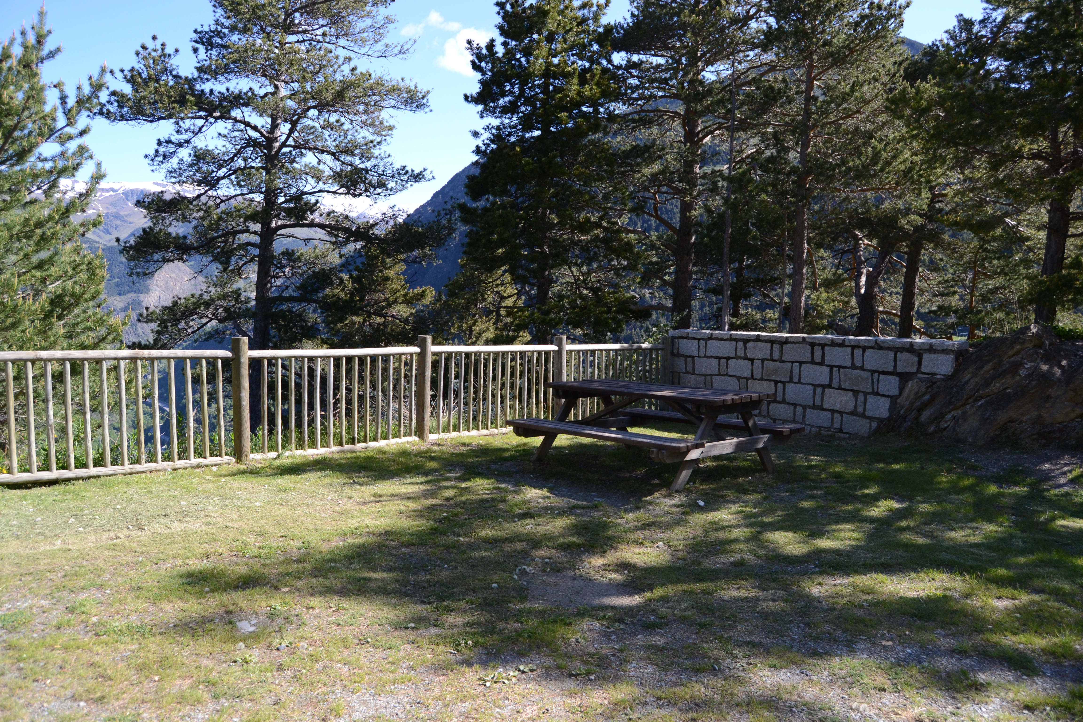 DSC_0515.JPG