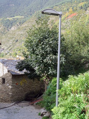 Intervenció.