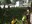 IMG-20160728-WA0022.jpg