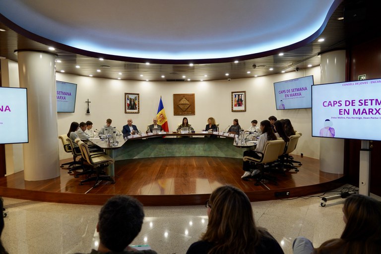 20251113 Consell de joves @ComuEncamp (47).jpg