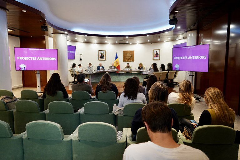 20251113 Consell de joves @ComuEncamp (72).jpg