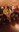 IMG-20180115-WA0081.jpeg