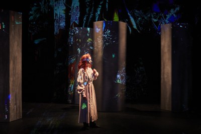 Dracula Lucys Dream - Christophe Raynaud de Lage (1).jpg.