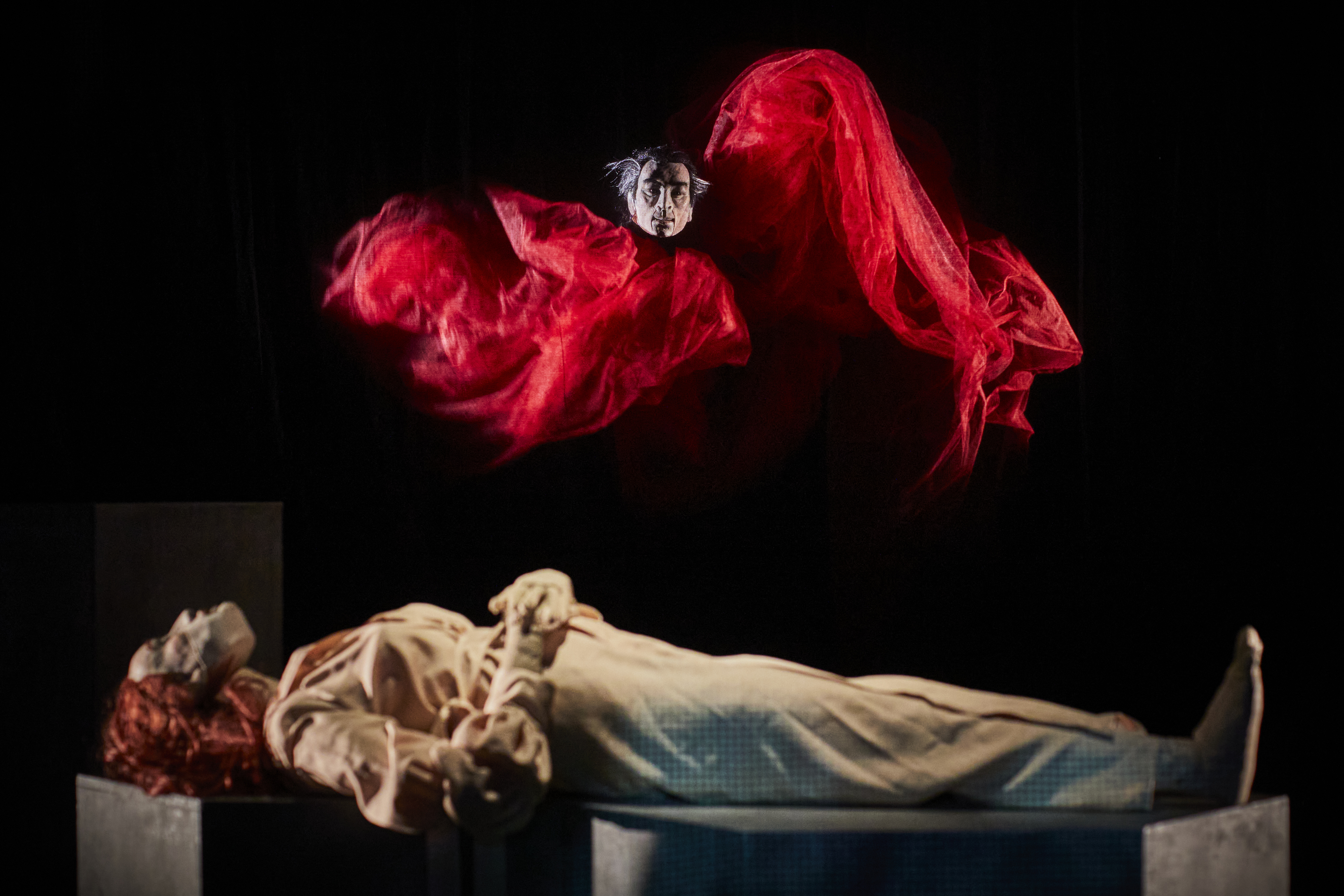 Dracula Lucys Dream - Christophe Raynaud de Lage (3).jpg
