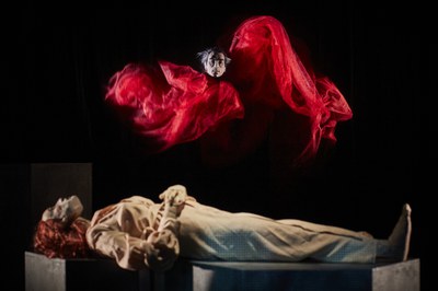 Dracula Lucys Dream - Christophe Raynaud de Lage (3).jpg.